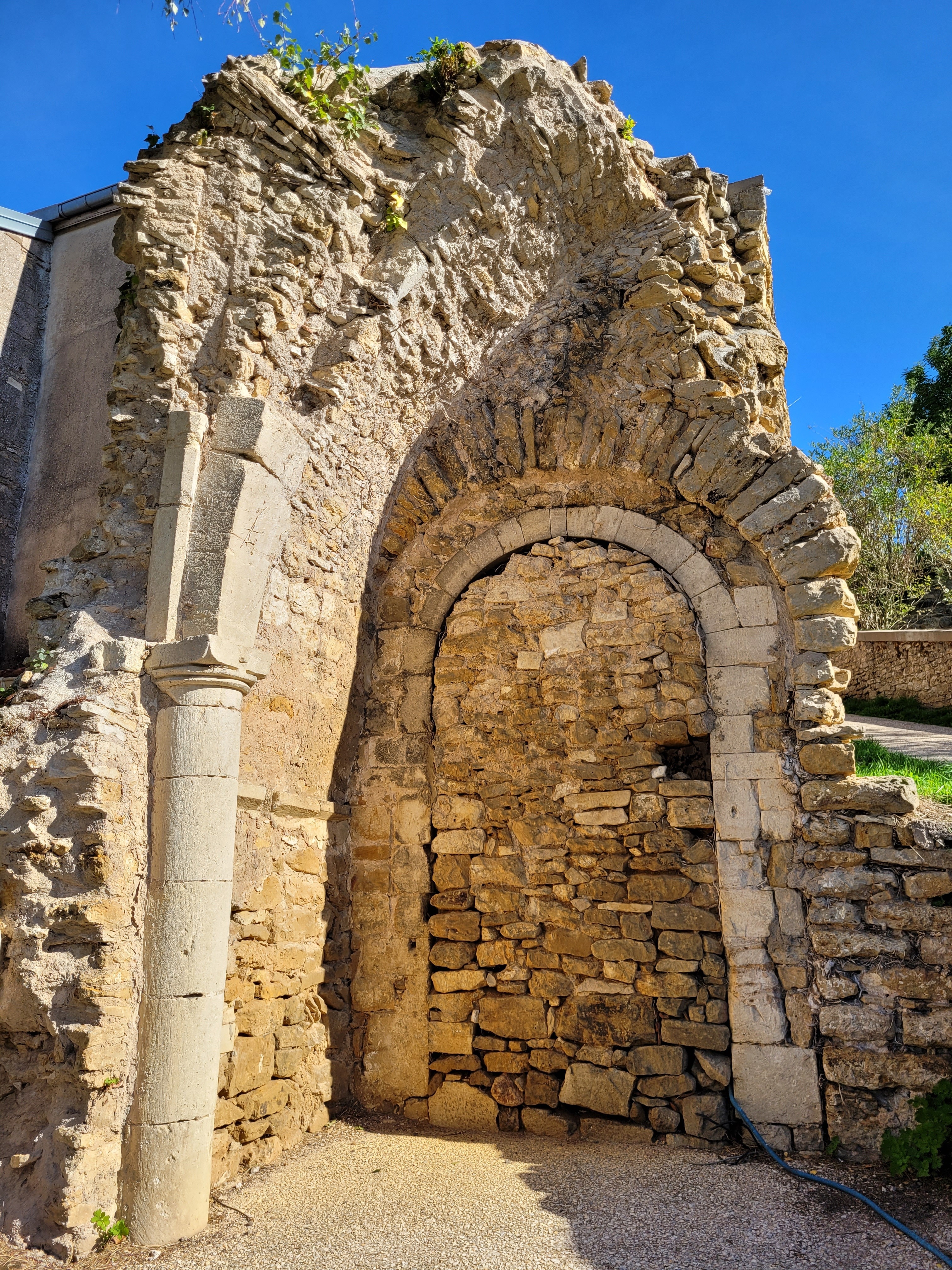 Visite du site et des vestiges de l’abbaye Sainte-Marie
