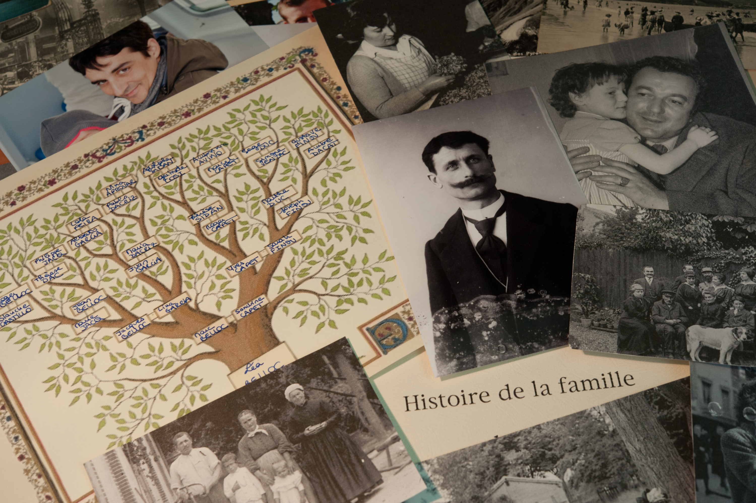 « SUR LES TRACES DE SES ANCÊTRES » - atelier d’aide à la recherche (débutants)