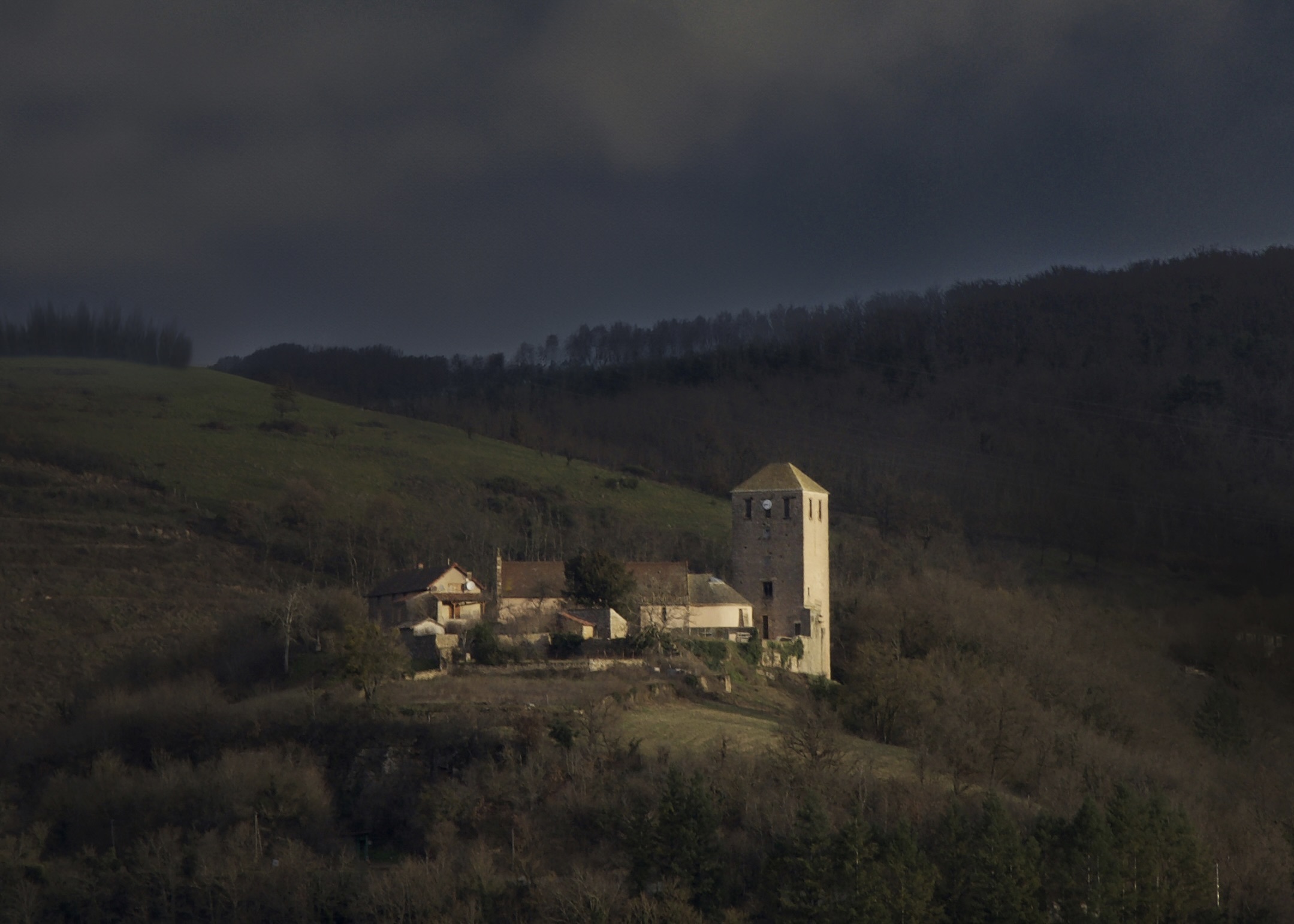 La forêt à château