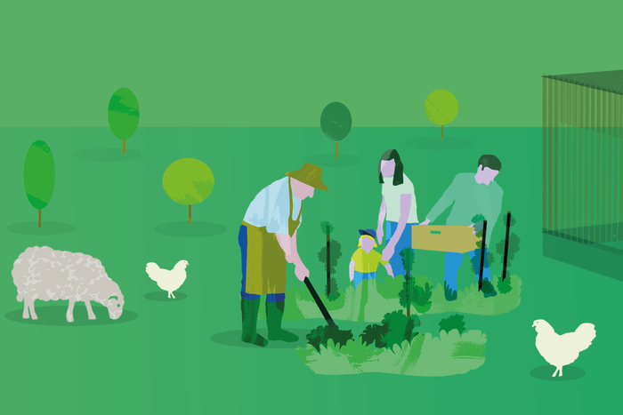 Fête du printemps 2026