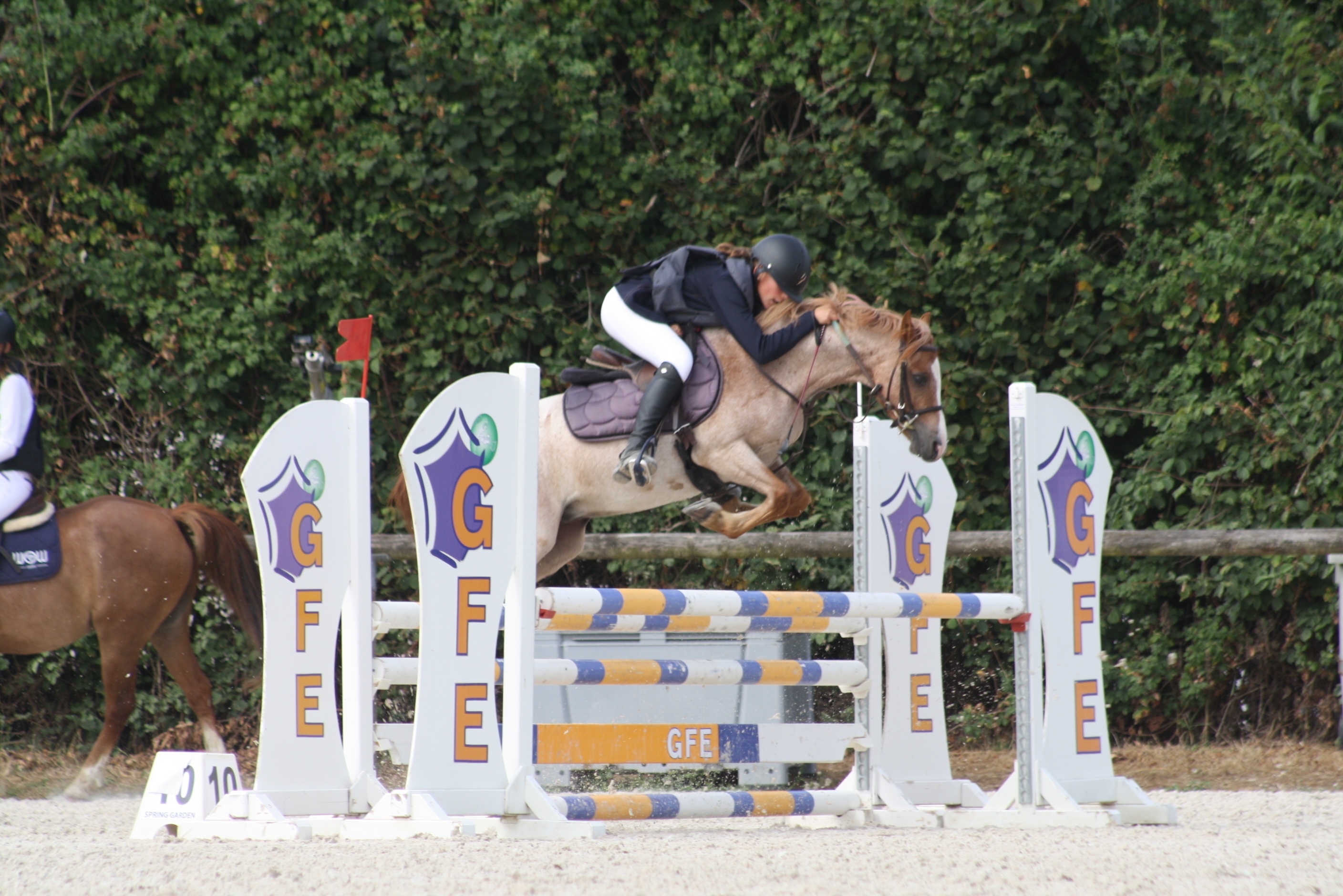 Concours de saut d’obstacles Club-Poney au Haras des Louveaux