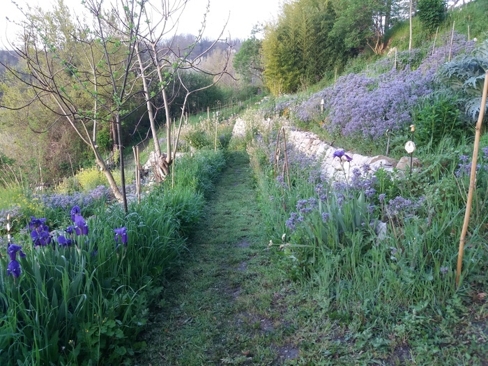 Le visioni nel giardino