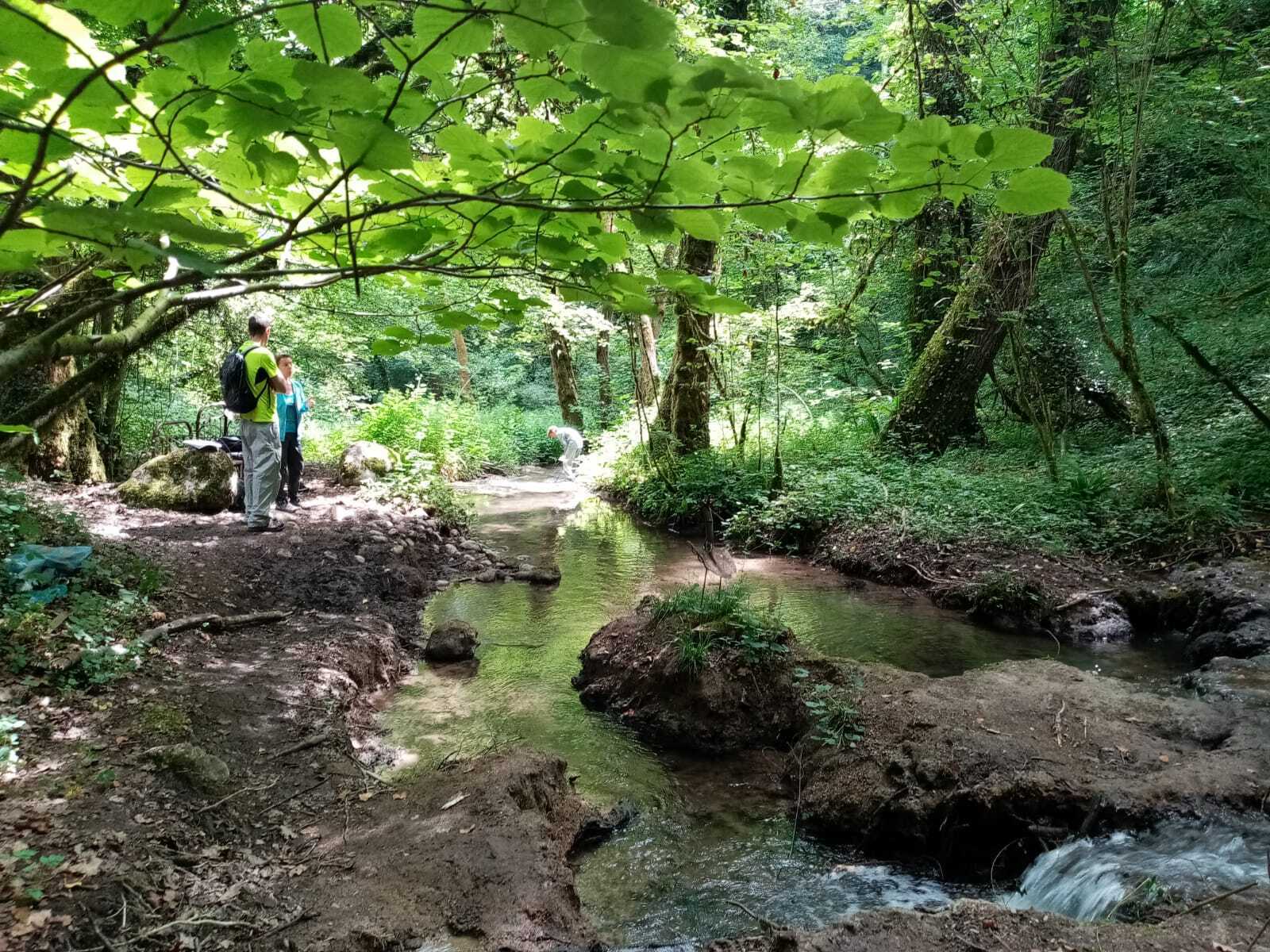 Atelier en nature "A la recherche du blob"