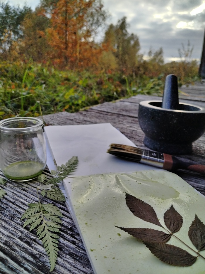 Sortie coorganisée par Île-de-France Nature