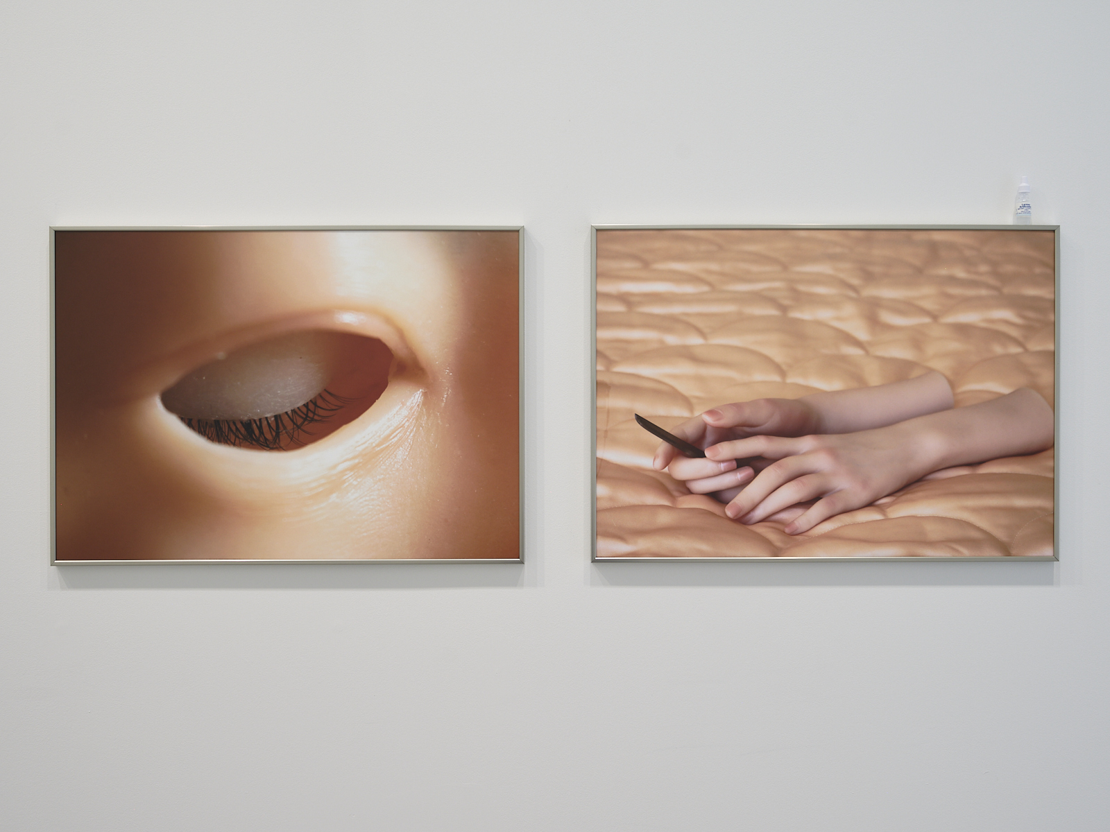 exposition · là où les organes oragent