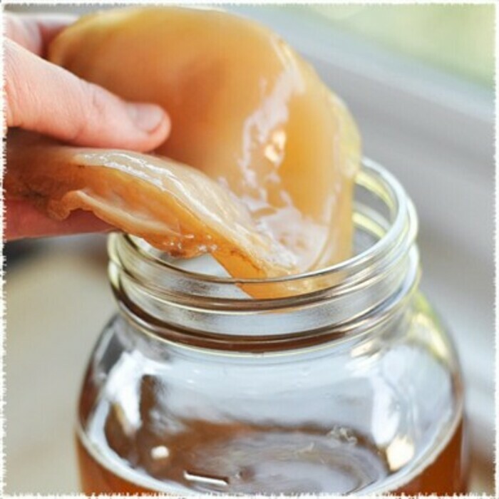 Découverte des secrets de cette boisson fermentée