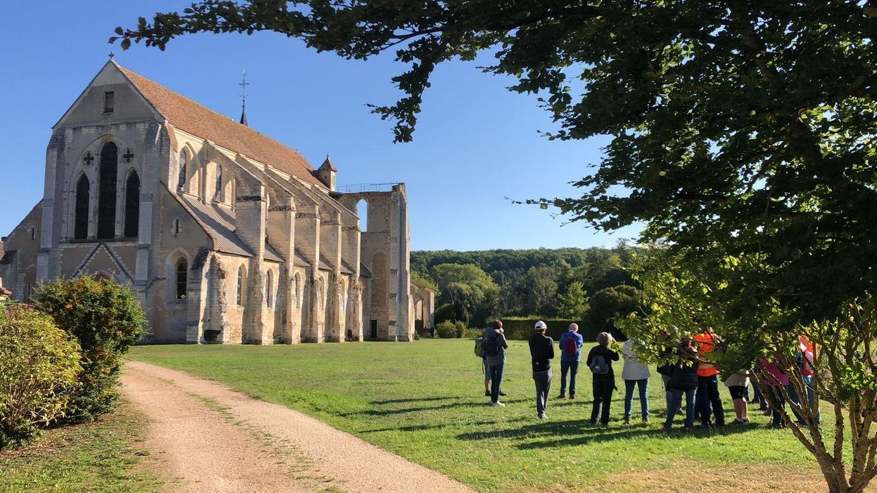 Visite guidée de l'abbaye