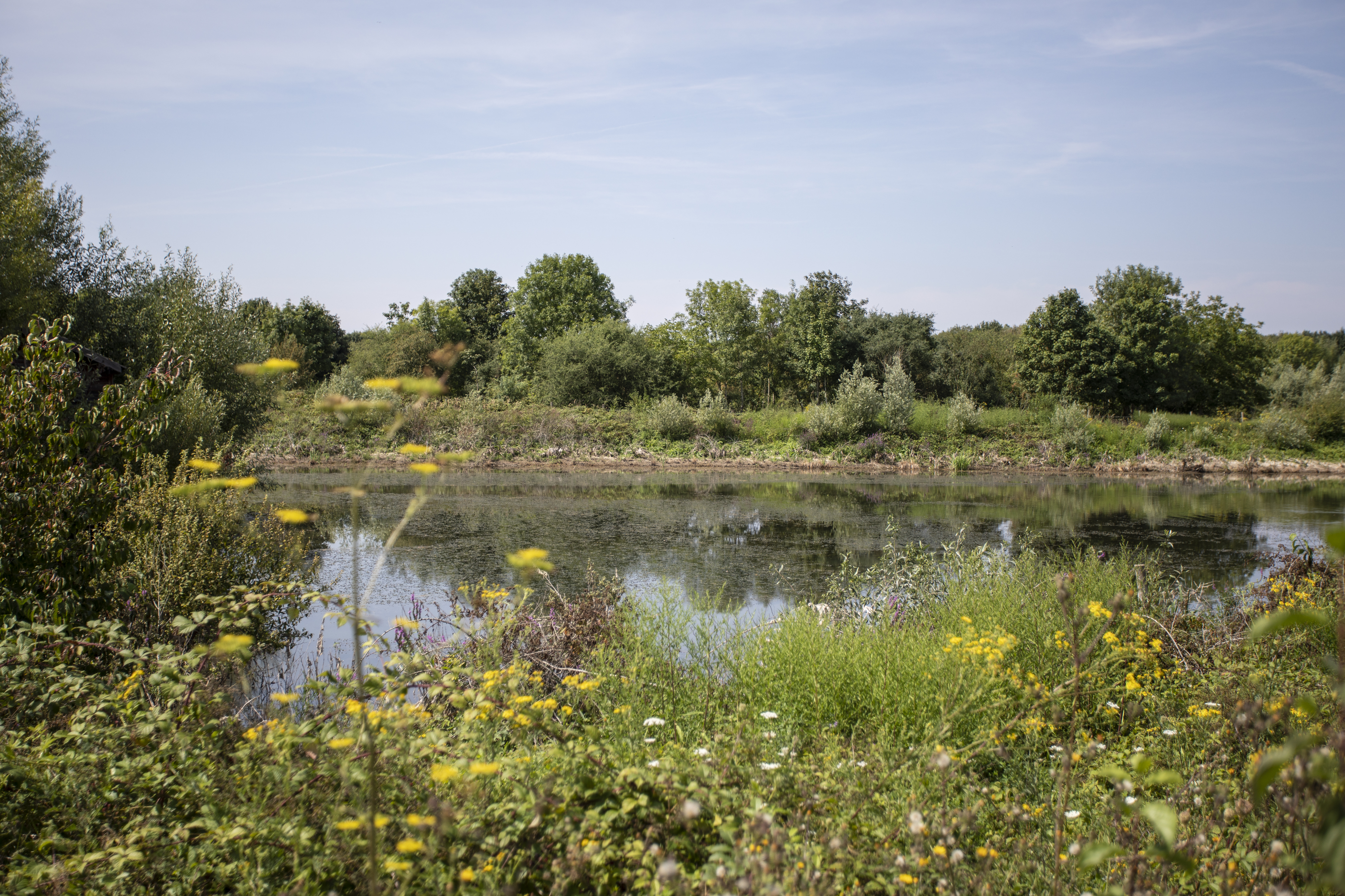 Mystères de la nature sauvage