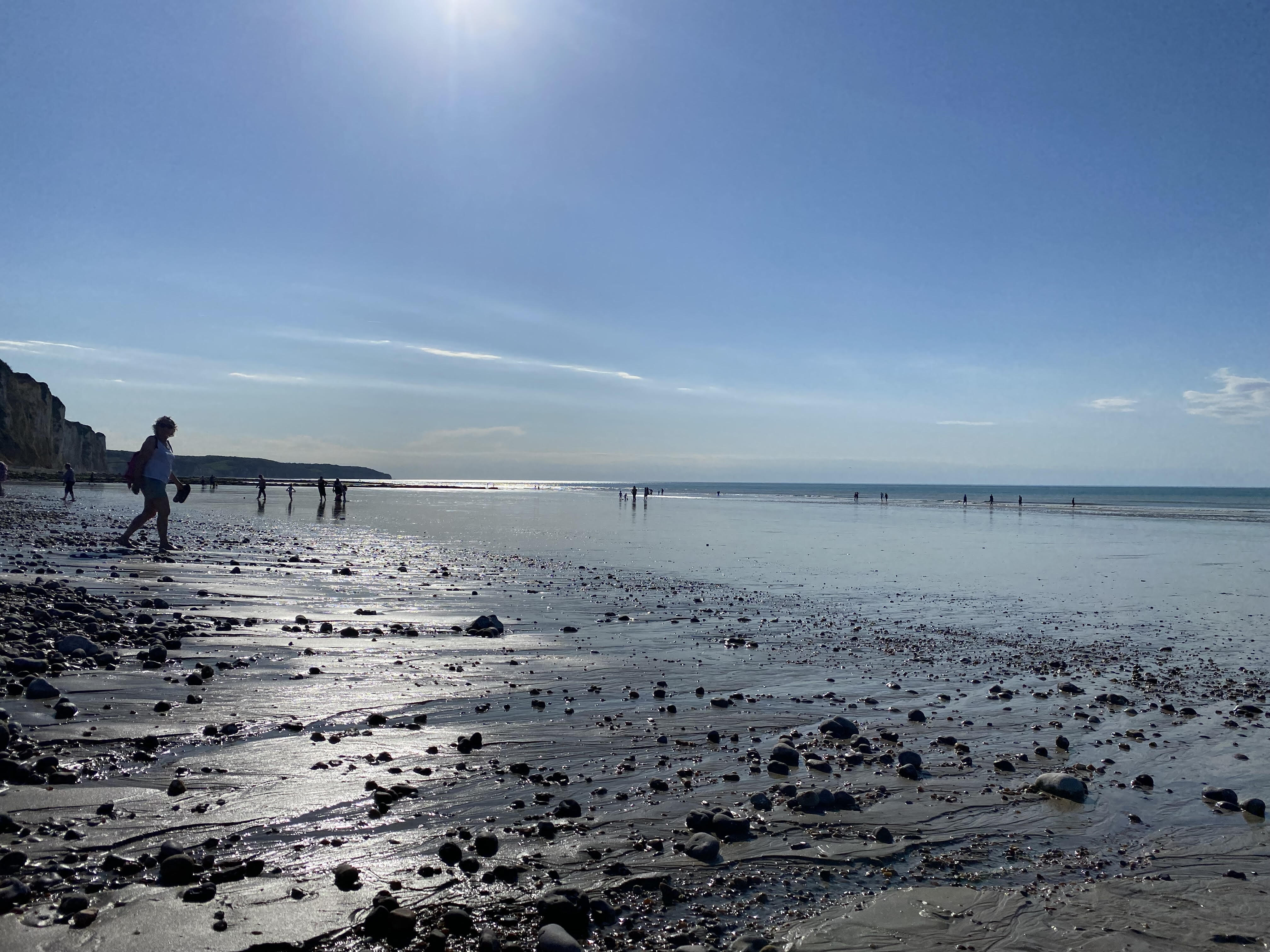 Visite guidée : Dieppe depuis l'Estran, étranges perspectives et lignes de ville