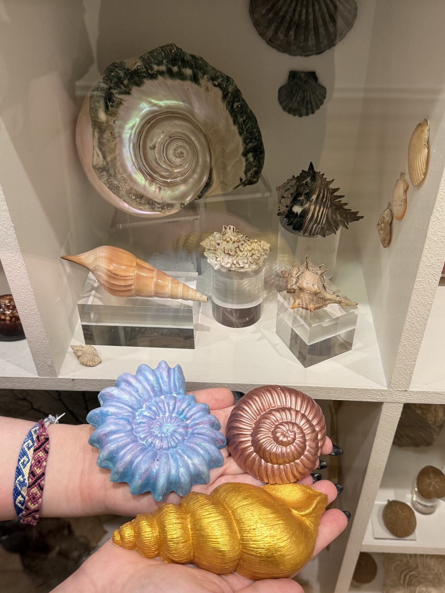 Atelier “Mon coquillage coloré”