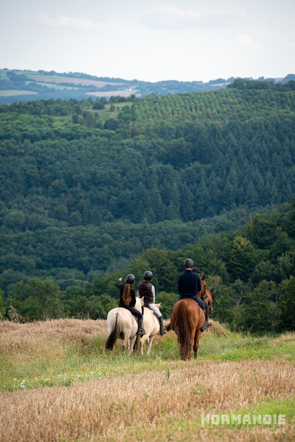 Rallye équestre et VTT en Suisse-Normande à l’Ecurie des Monts