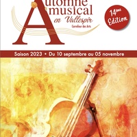 Festival Amuvall - Félicien Brut