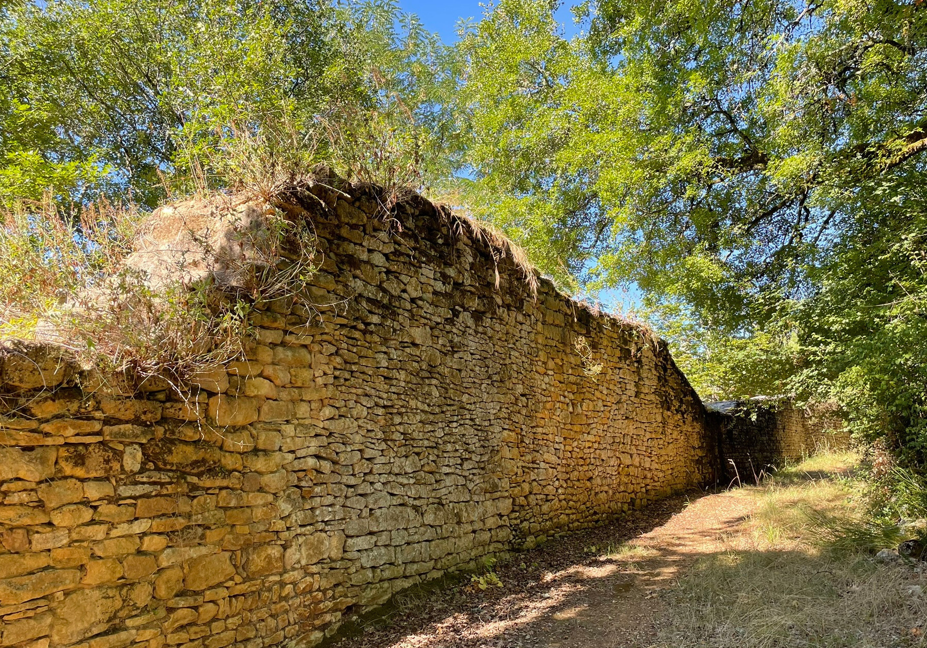 Balade : « Les remparts et le siège »