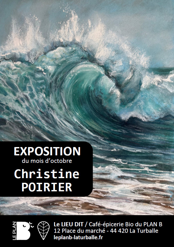 Exposition d'octobre : Christine POIRIER