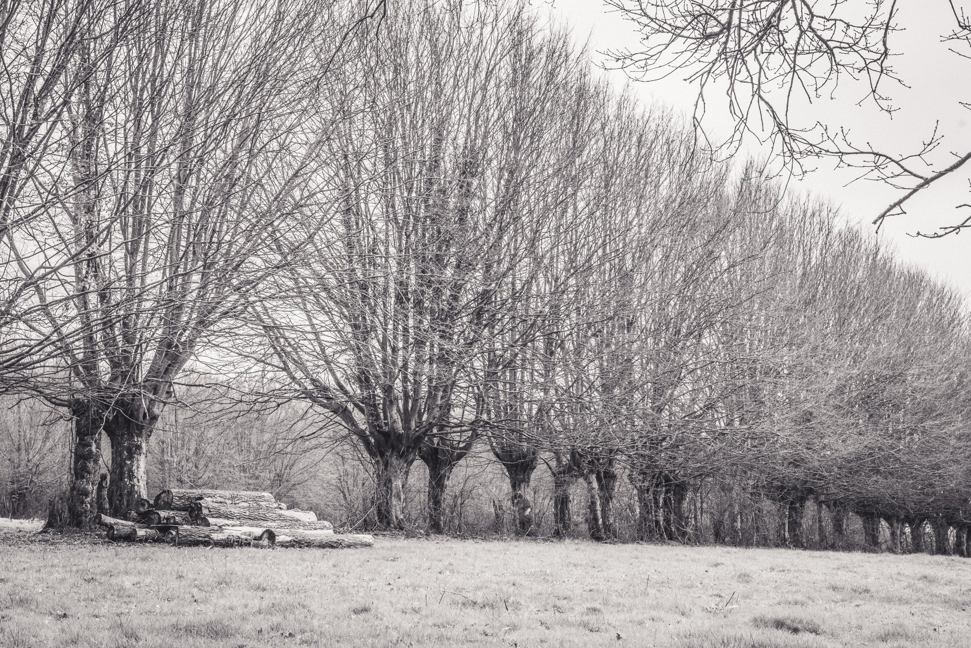 Montormel entre Histoire et nature