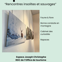 Exposition - "Rencontres insolites et sauvages"