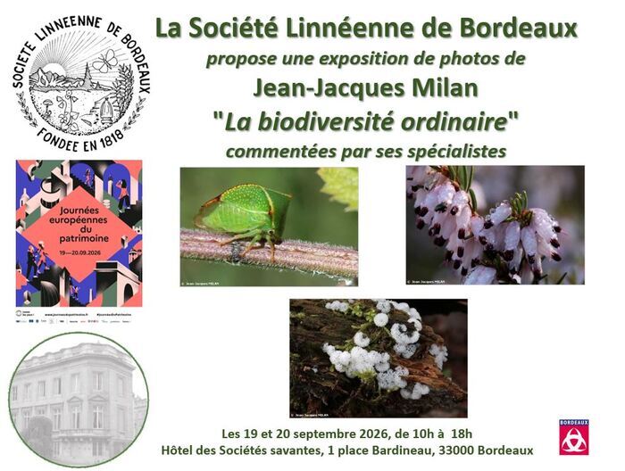 JEP 2026 - Société Linnéenne de Bordeaux - Exposition photographique : la biodiversité ordinaire par Jean-Jacques Milan