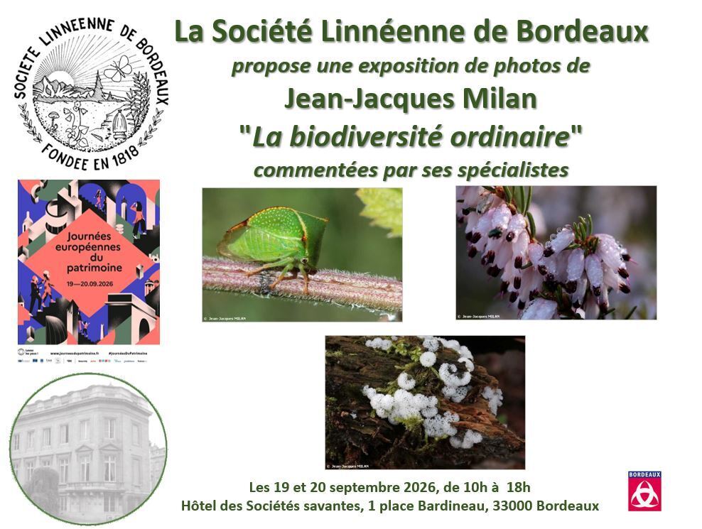 JEP 2026 - Société Linnéenne de Bordeaux - Exposition photographique : la biodiversité ordinaire par Jean-Jacques Milan