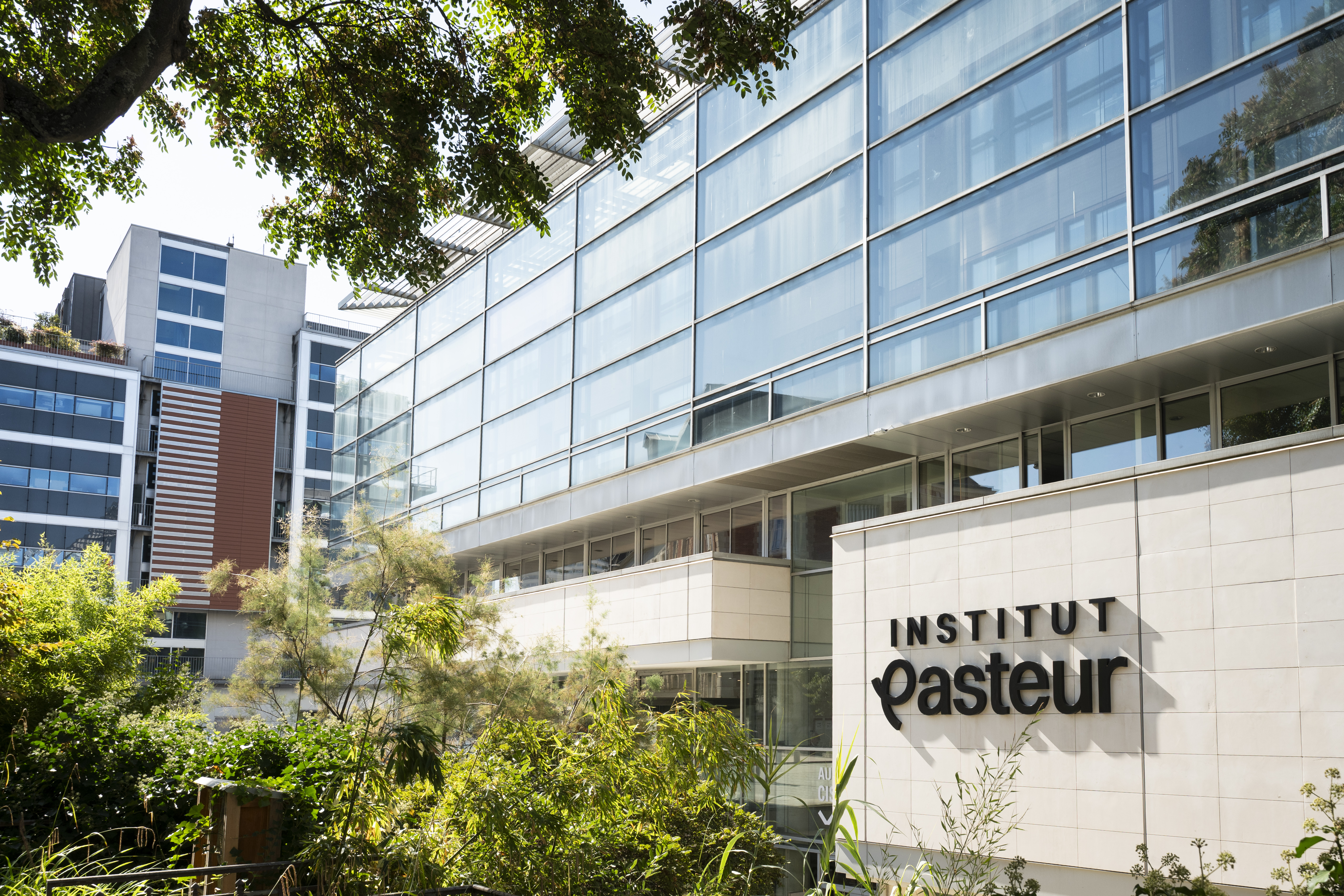 À la découverte de l'Institut Pasteur