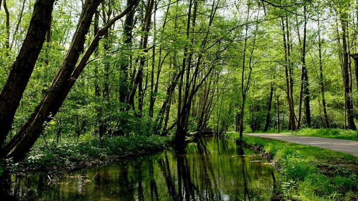 La vienne d'antan au cœur de Troyes