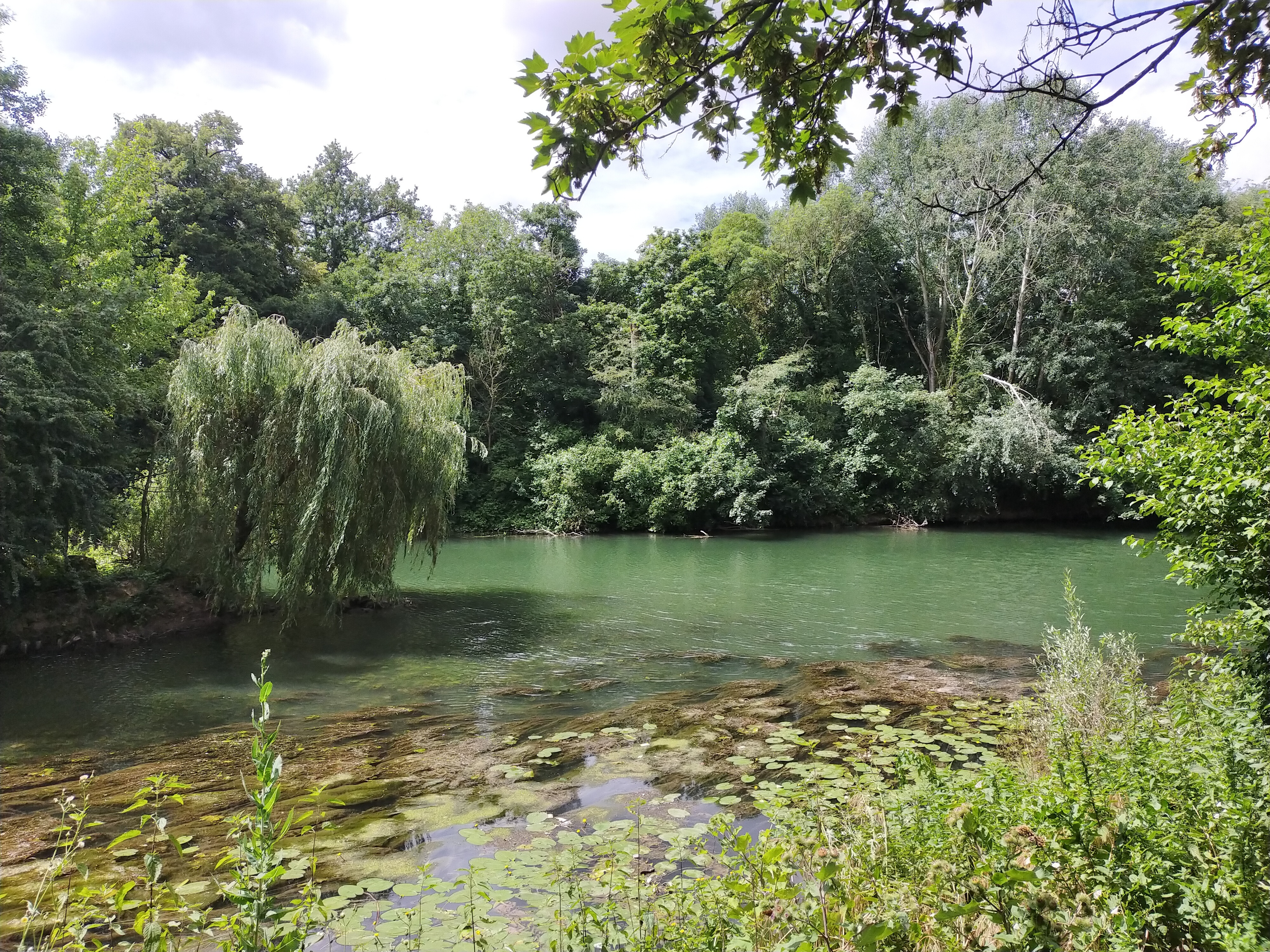 Du Plateau à la Marne, escapade sur les coteaux de Champigny-sur-Marne