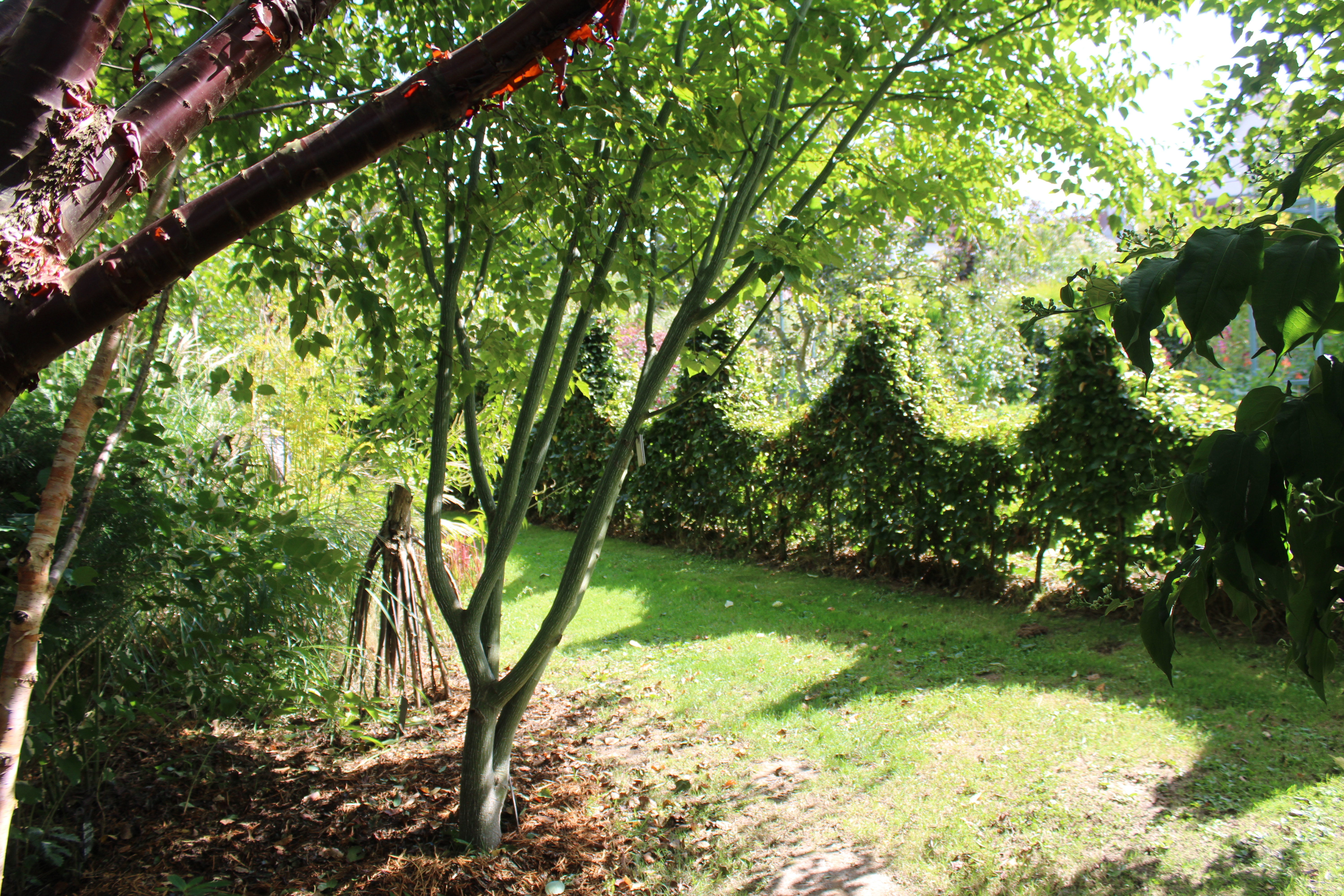visite du jardin