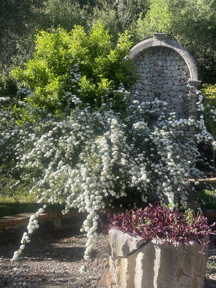 I giardini Victoria e il territorio