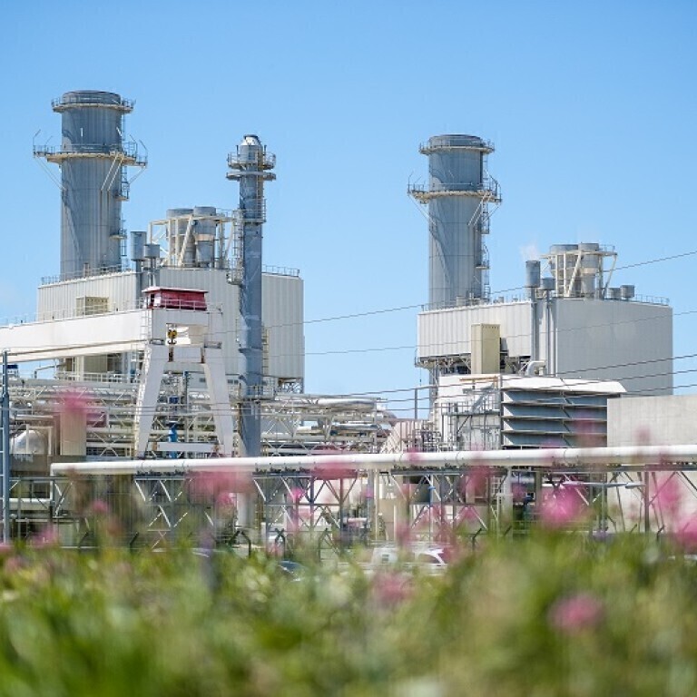 [Scolaires] Immersion au coeur de la biodiversité de la centrale EDF thermique CCG de Martigues