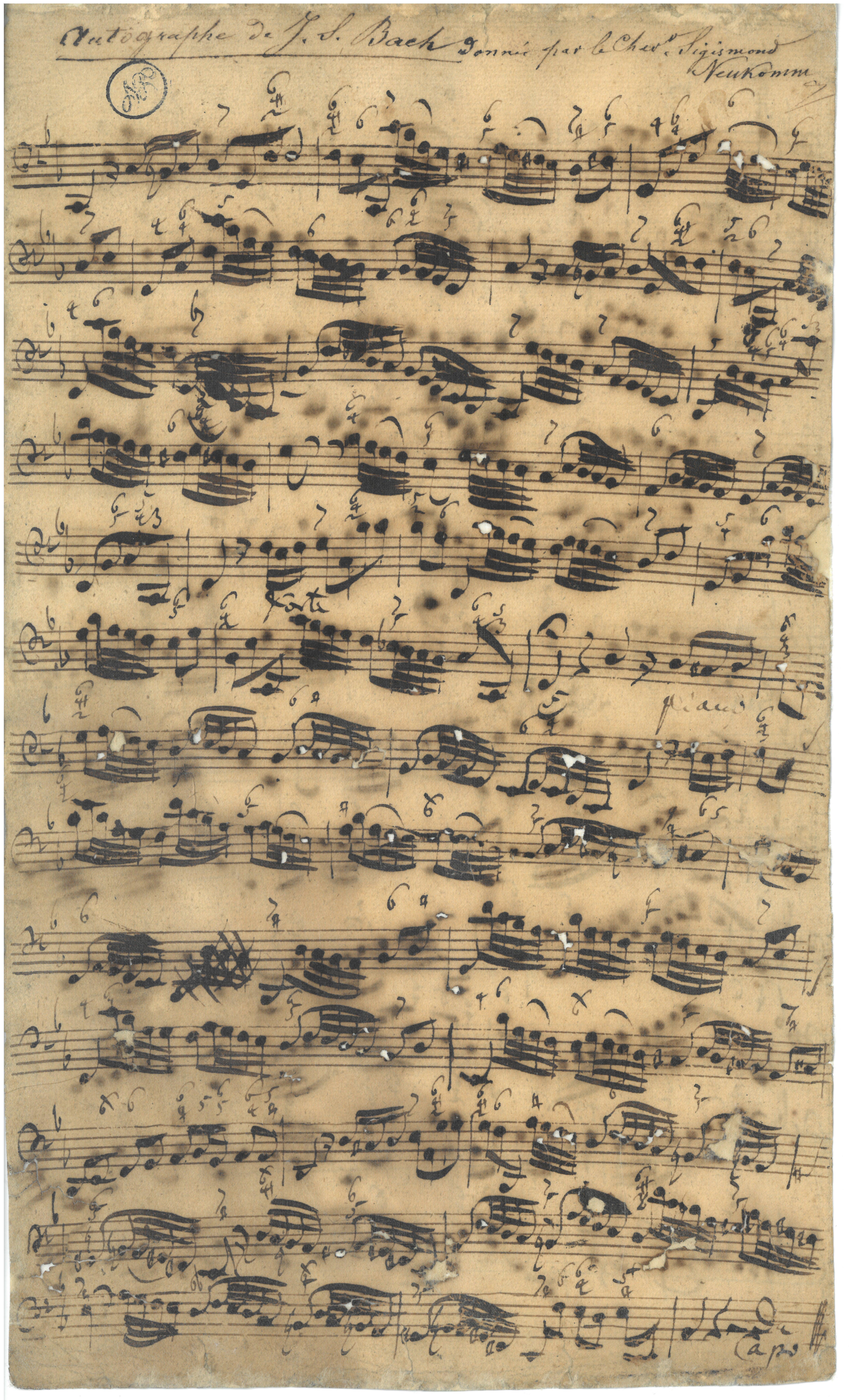 Concert commenté
