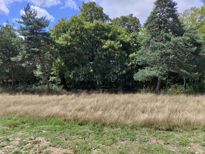 Parcours bien-être Bois de Vincennes - Respiration - Méditation - Sophrologie -Difficulté 2