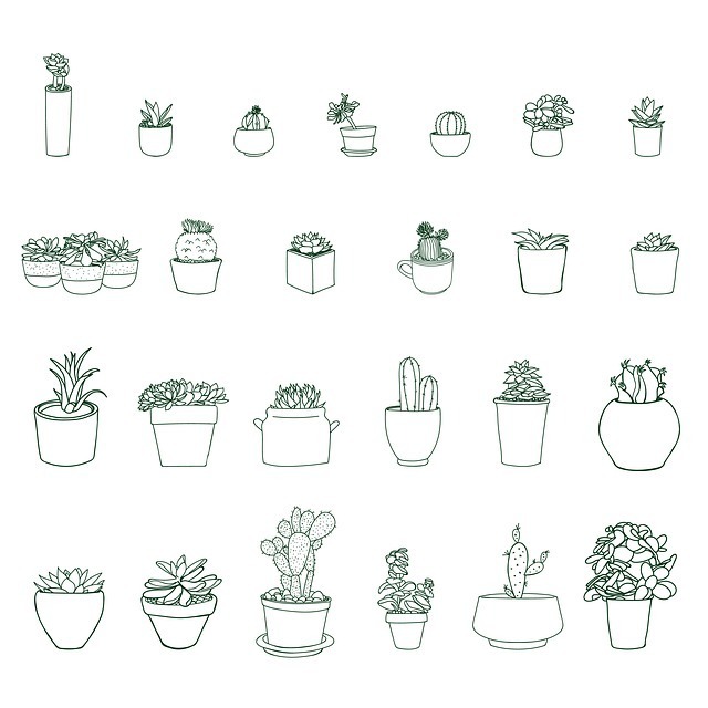 Troc aux plantes