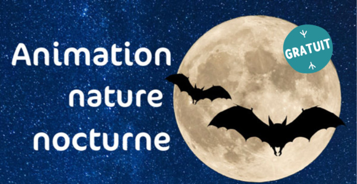 Faune nocturne et ciel étoilé