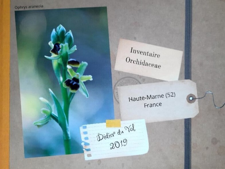 Exposition Photographique  "Les Orchidées sauvages de la Haute-Marne - Etat des lieux 2026"
