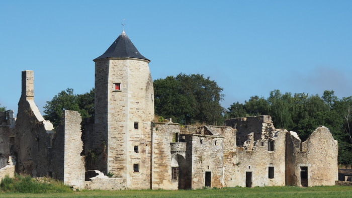 Visites guidées et saynètes théâtralisées au château