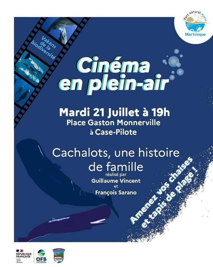 CINÉMA EN PLEIN-AIR "Cachalots, une histoire de famille"