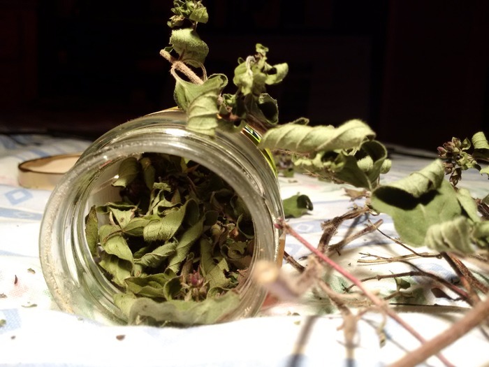 Atelier herboristerie : La tisane thérapeutique en pratique