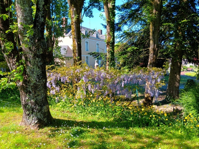 Visite guidée d'un petit hôtel particulier fin XVIII ème aux décors peints d'époque et de son vaste jardin à la faune et la flore variées.