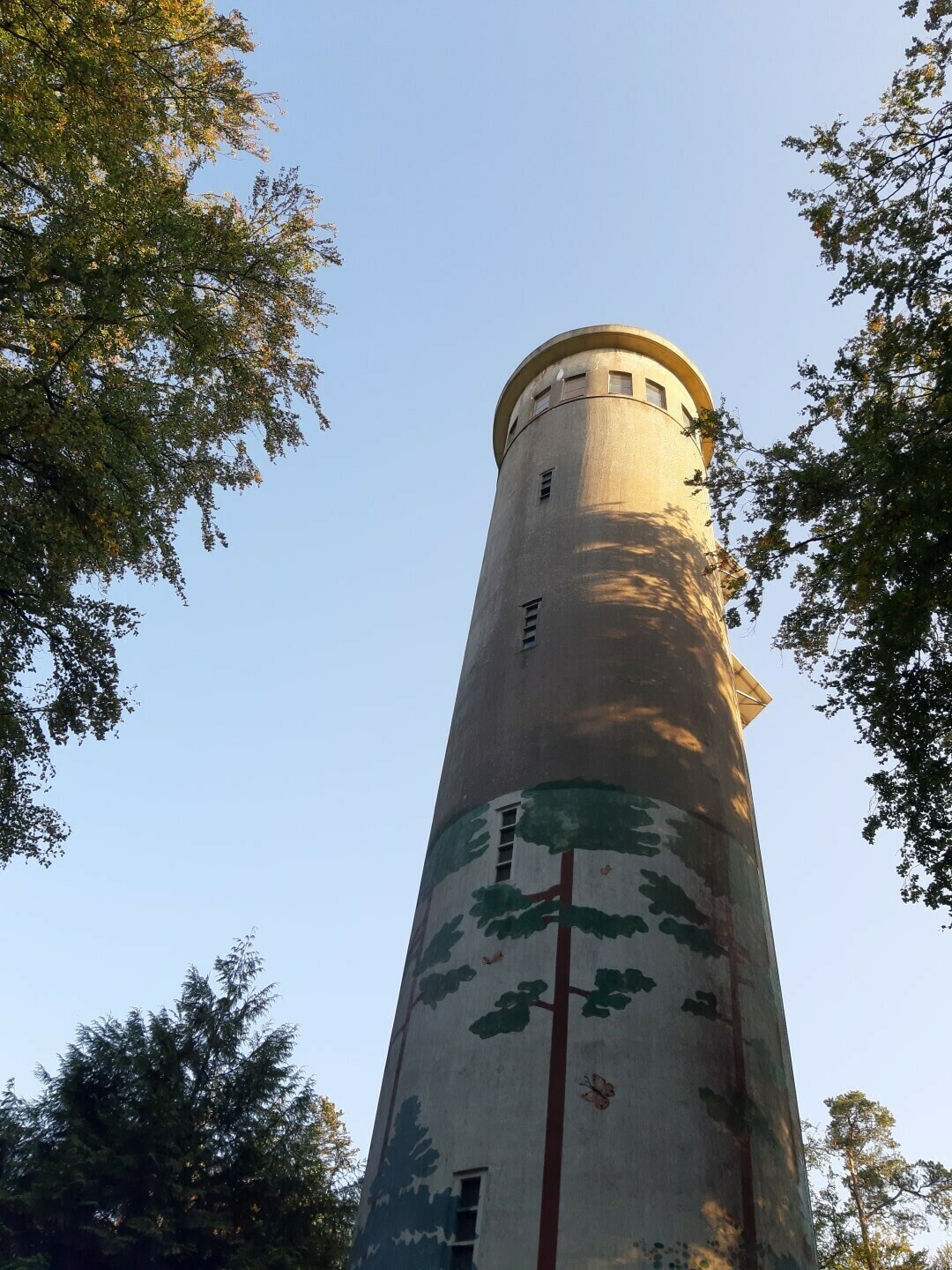 Visite libre du belvédère de Perseigne