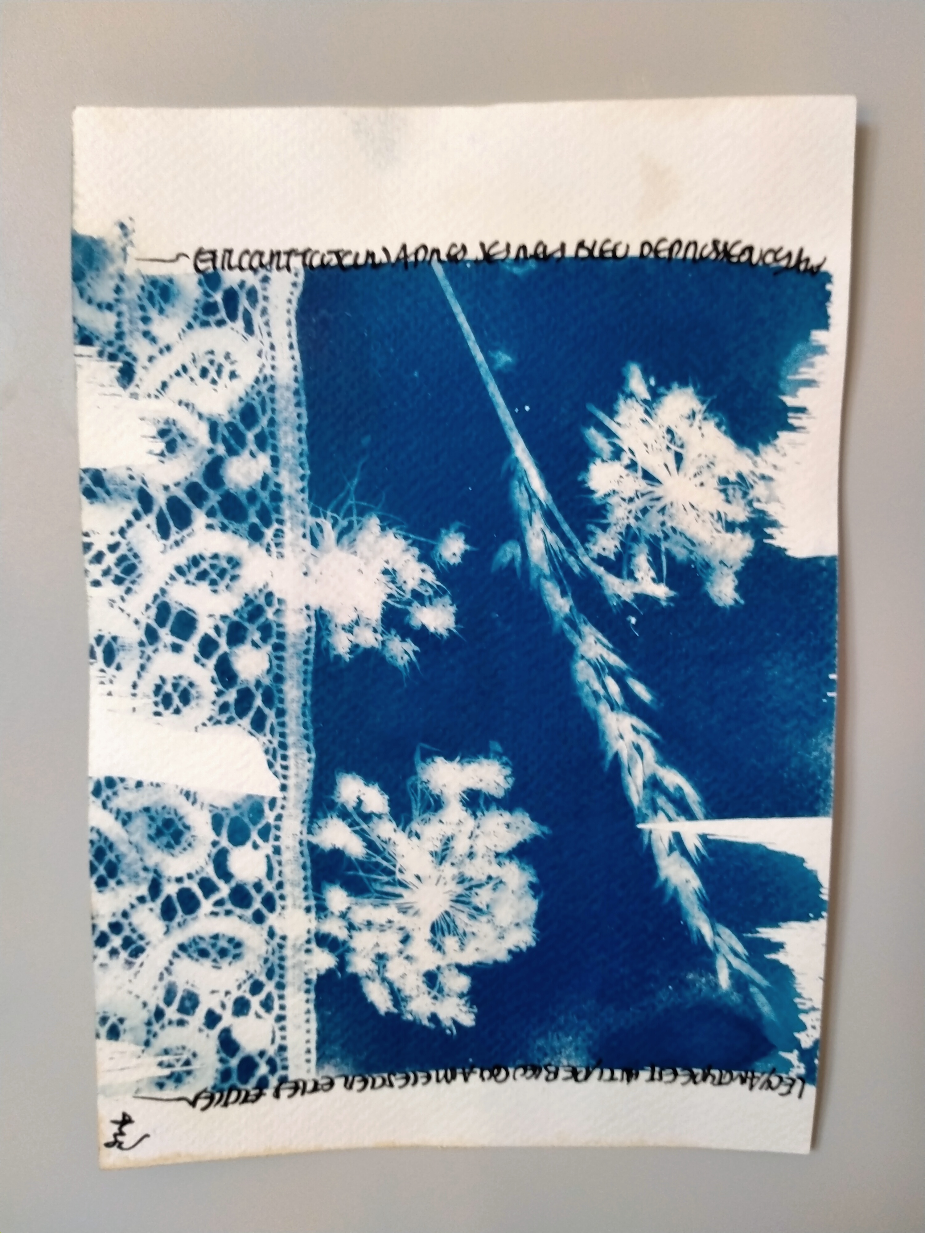 Initiation au cyanotype