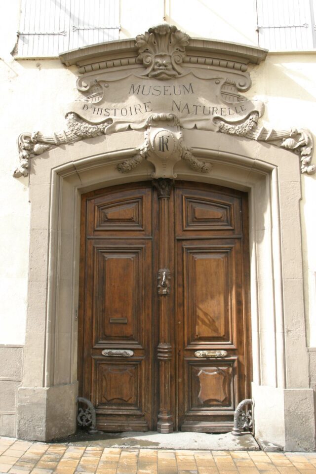 Visite guidée de l'hôtel de Lazerme (Çagarriga) et du Muséum d'histoire naturelle de Perpignan