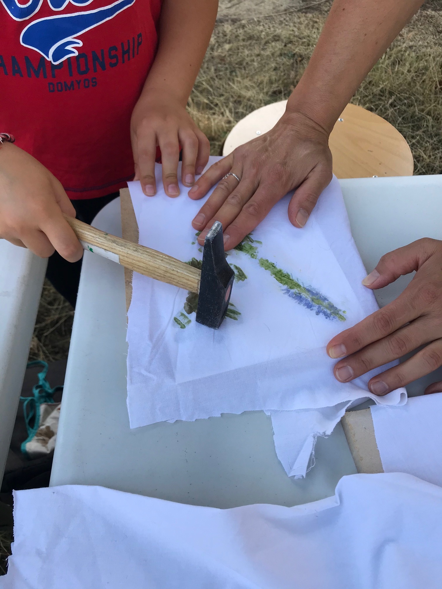 Herbier frappé en famille