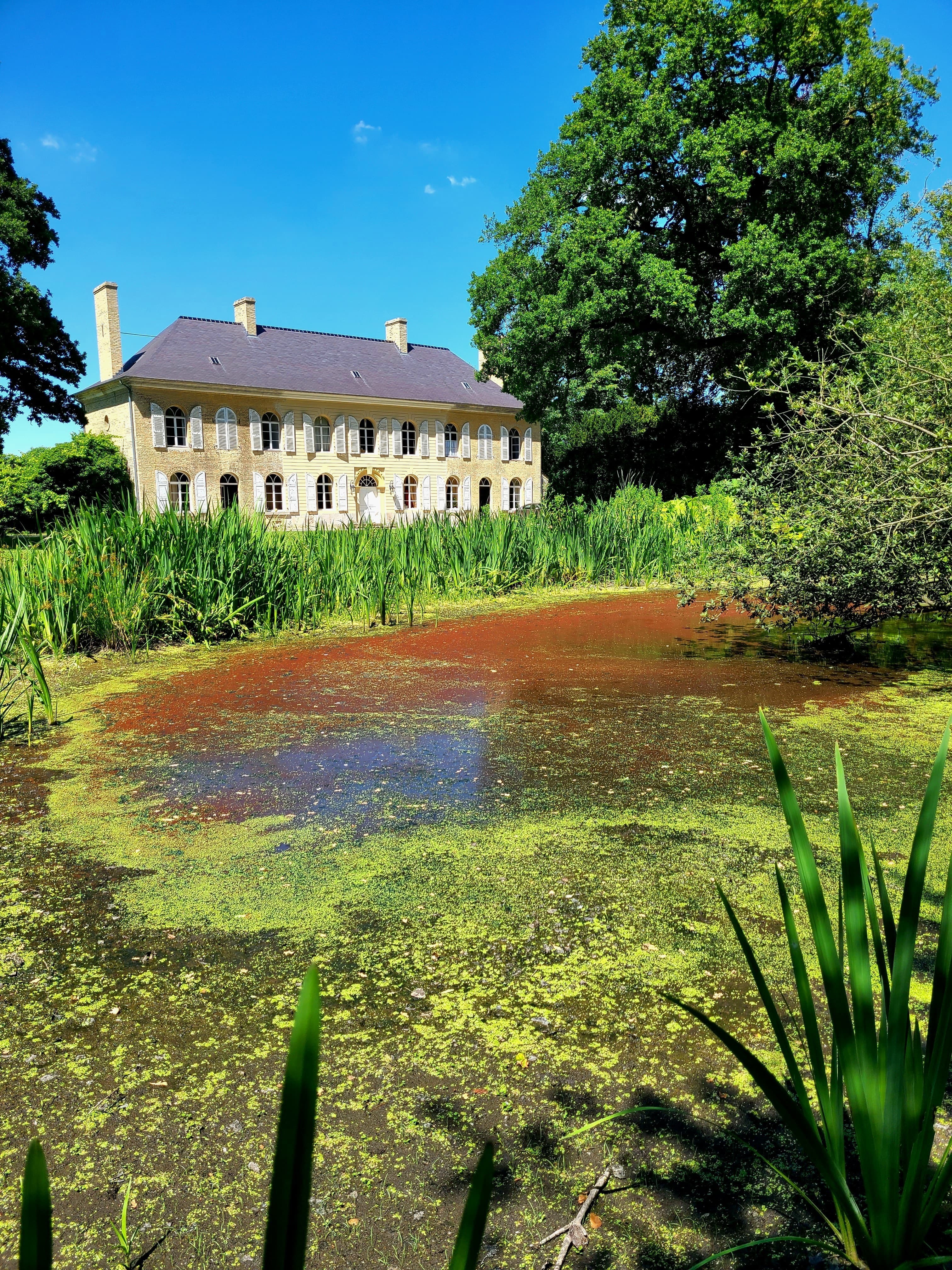 Château de la Palme