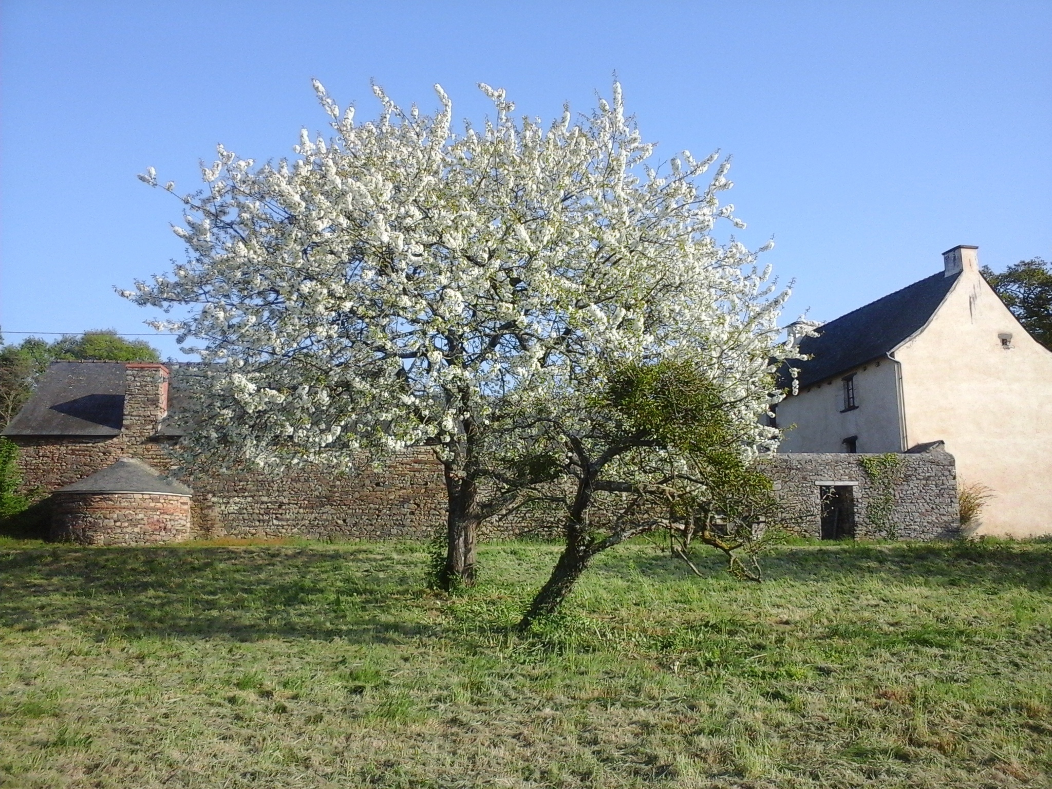 Visite guidée d’un manoir du XVe siècle