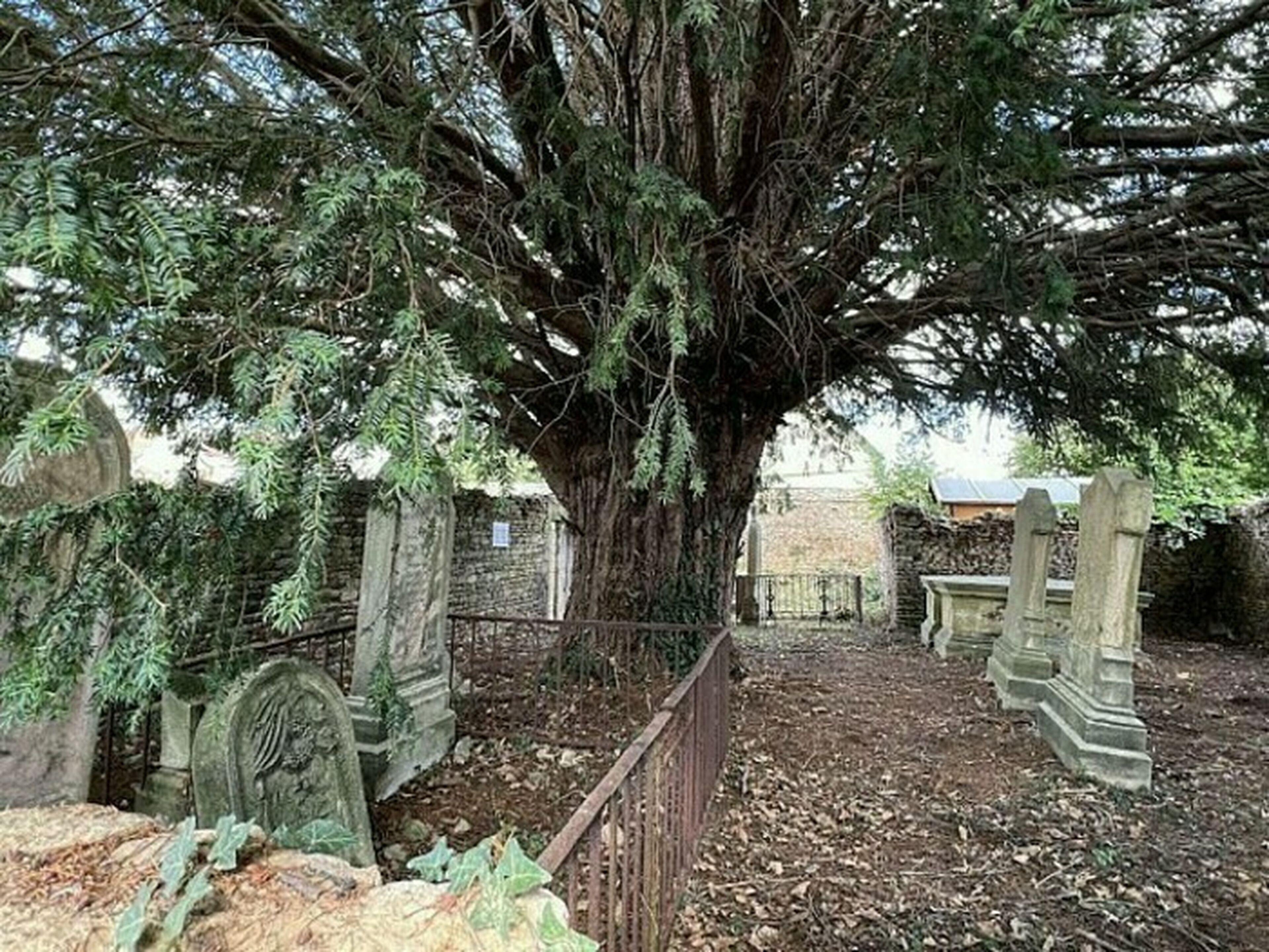 Visite libre de l'ancien cimetière protestant