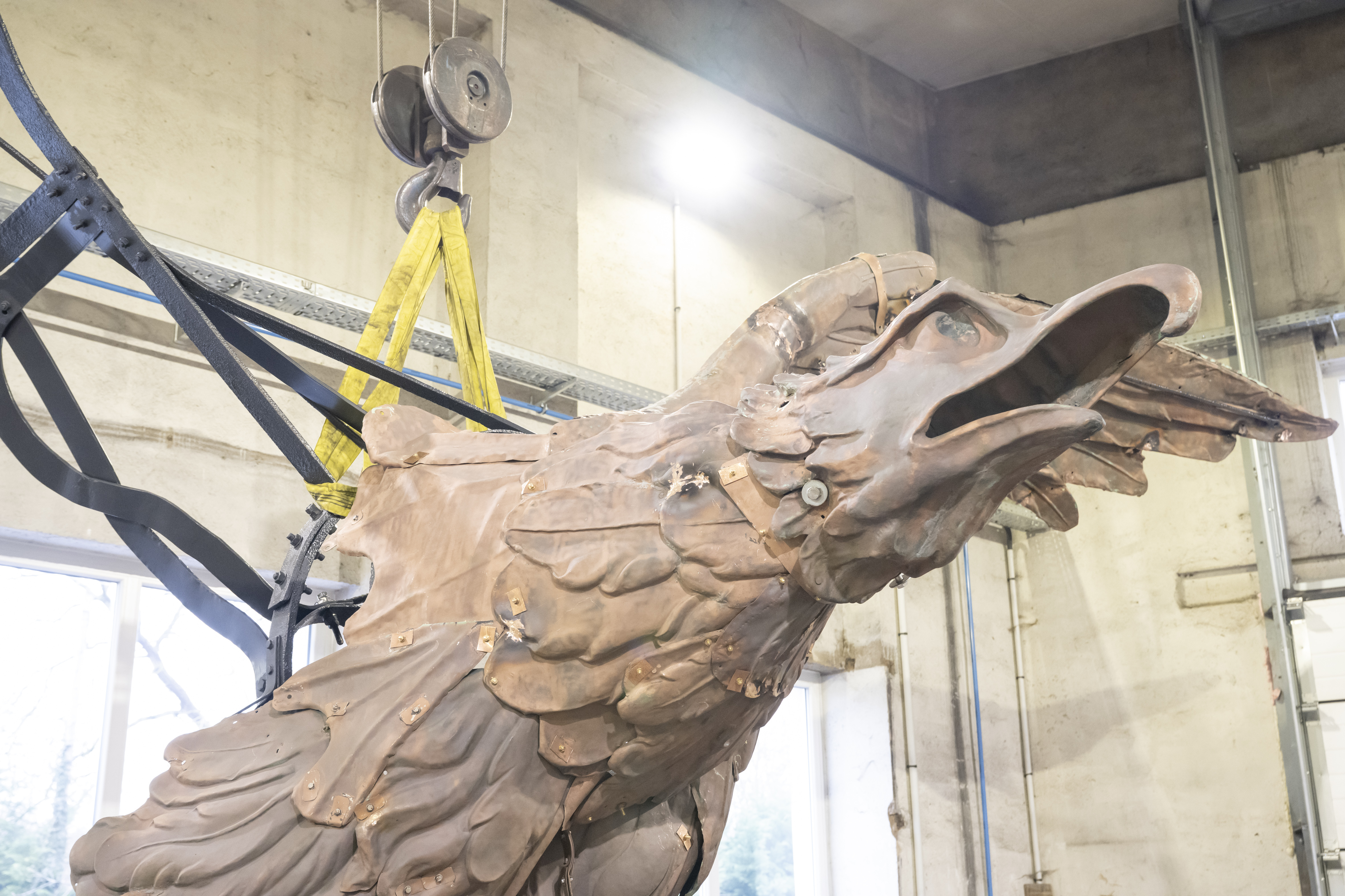Nouvelles ailes pour l'aigle : rencontre avec Nicolas Tassart
