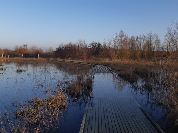 Sortie coorganisée par Île-de-France Nature