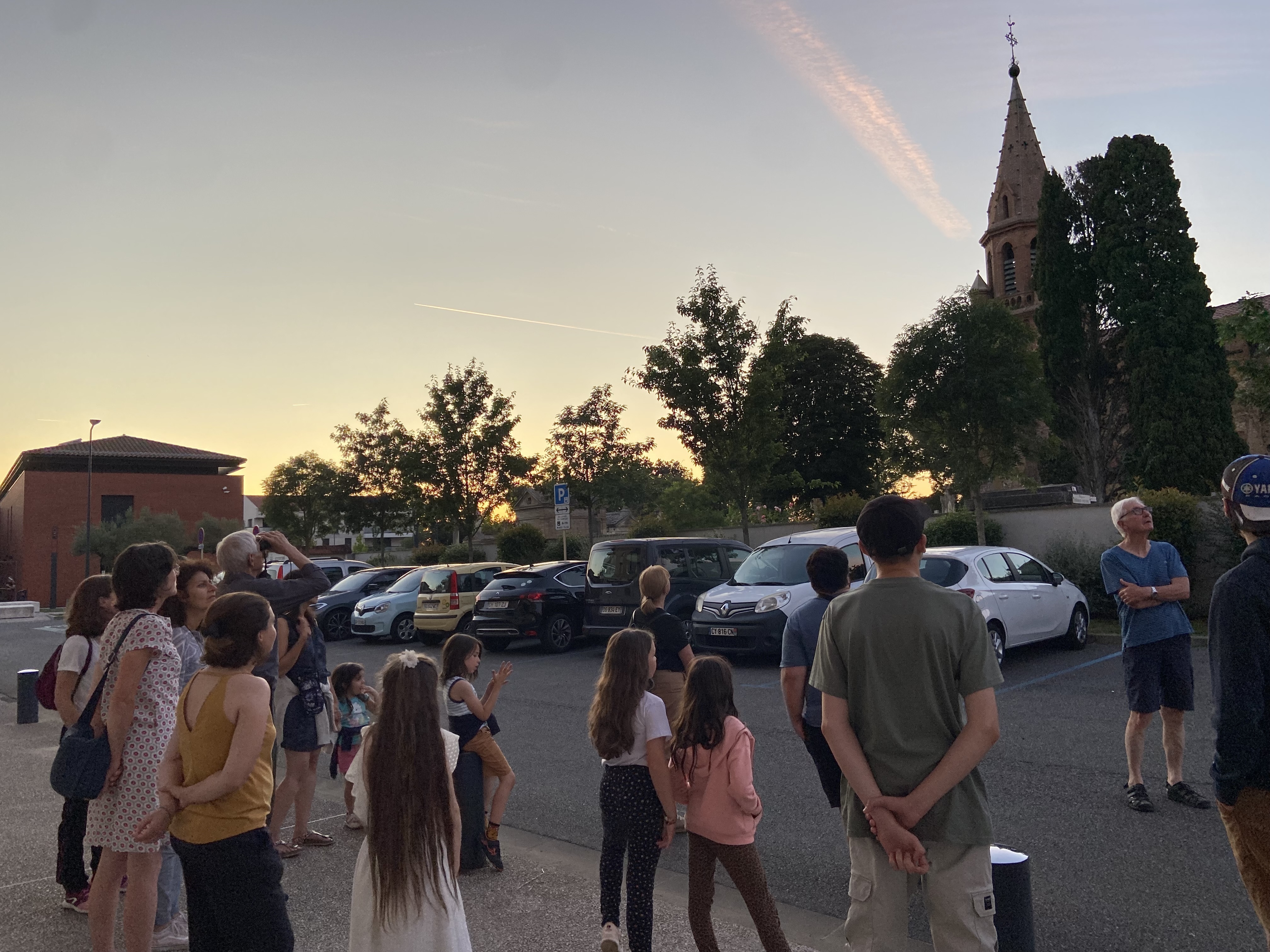 Balade au crépuscule, à la rencontre de la vie nocturne