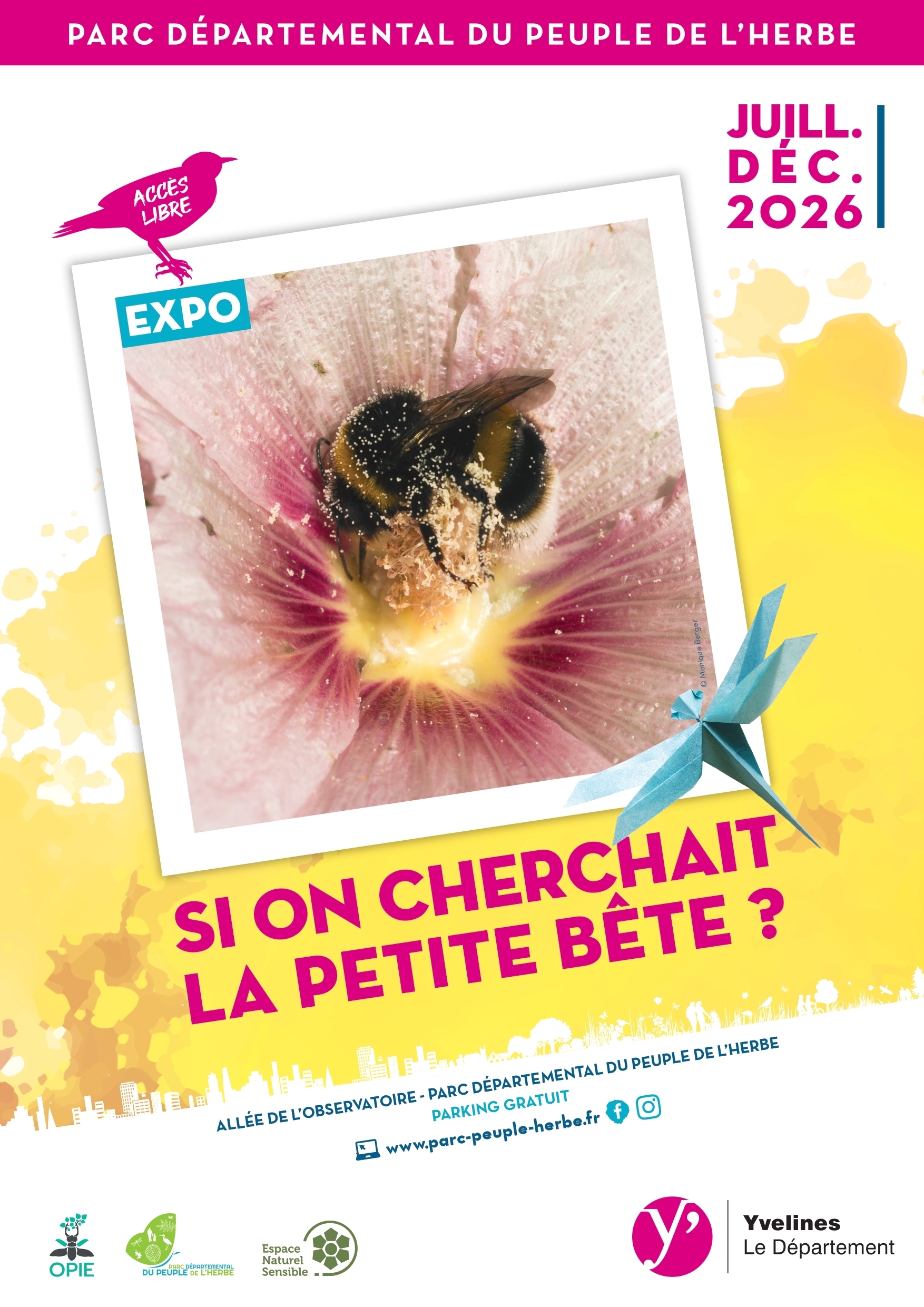 Exposition Si on cherchait la petite bête ?