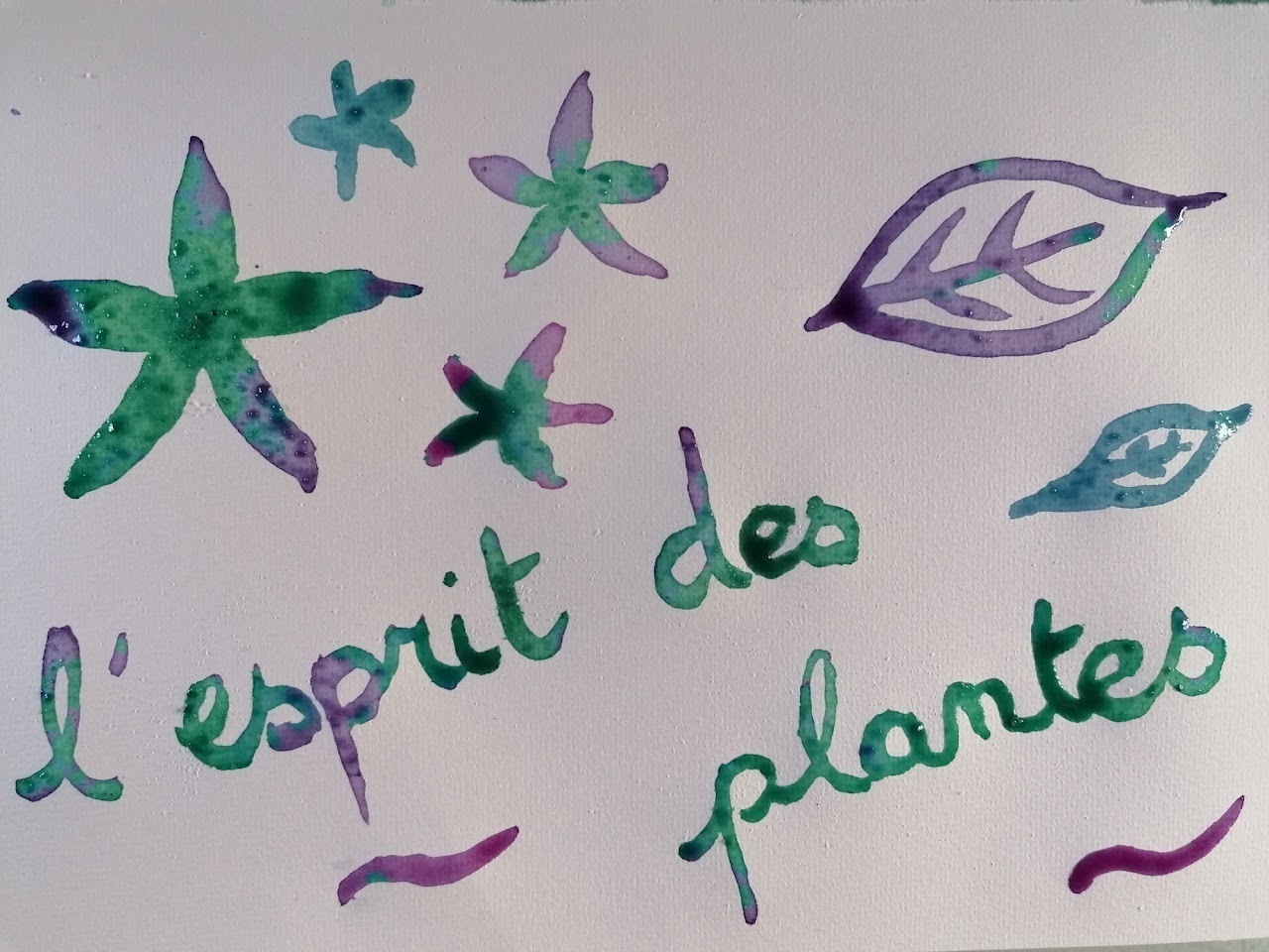 Atelier "couleurs végétales"