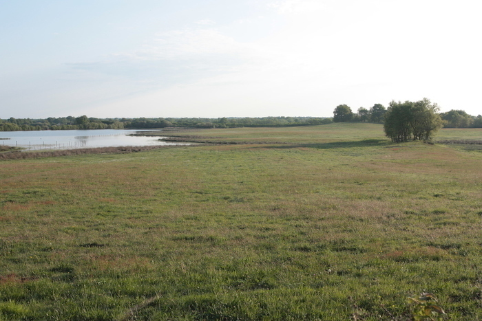 Balade-conférence sur l'histoire des étangs et des paysages anciens de la Brenne
